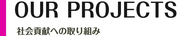 トリックスーターズの取り組み